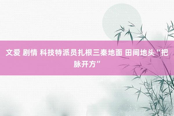 文爱 剧情 科技特派员扎根三秦地面 田间地头“把脉开方”