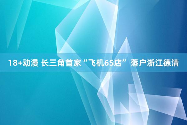 18+动漫 长三角首家“飞机6S店” 落户浙江德清