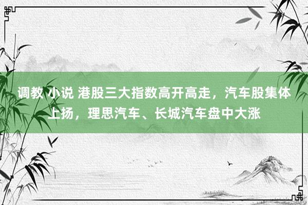 调教 小说 港股三大指数高开高走，汽车股集体上扬，理思汽车、长城汽车盘中大涨
