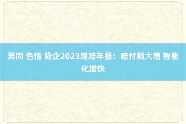 男同 色情 险企2023理赔年报：赔付额大增 智能化加快