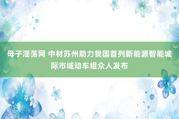 母子淫荡网 中材苏州助力我国首列新能源智能城际市域动车组众人发布