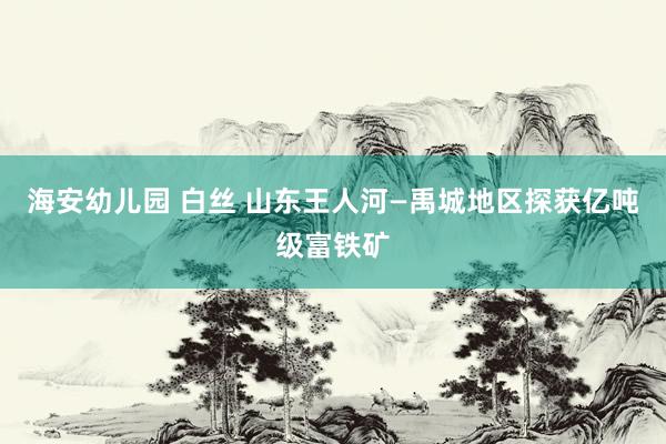 海安幼儿园 白丝 山东王人河—禹城地区探获亿吨级富铁矿