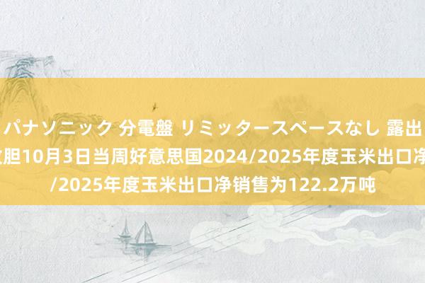 パナソニック 分電盤 リミッタースペースなし 露出・半埋込両用形 放胆10月3日当周好意思国2024/2025年度玉米出口净销售为122.2万吨