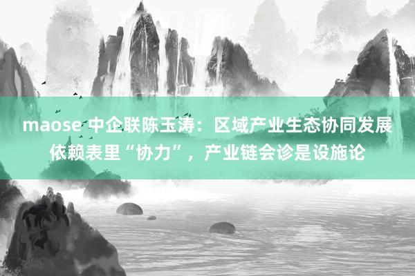 maose 中企联陈玉涛：区域产业生态协同发展依赖表里“协力”，产业链会诊是设施论