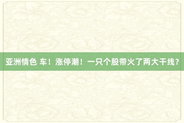 亚洲情色 车！涨停潮！一只个股带火了两大干线？