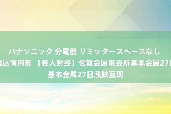 パナソニック 分電盤 リミッタースペースなし 露出・半埋込両用形 【各人财经】伦敦金属来去所基本金属27日涨跌互现