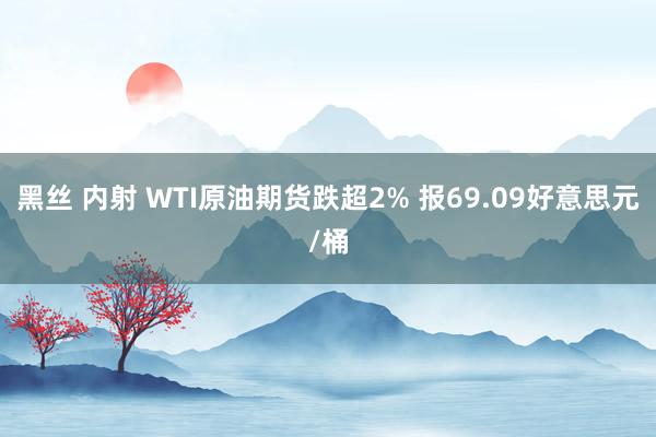黑丝 内射 WTI原油期货跌超2% 报69.09好意思元/桶