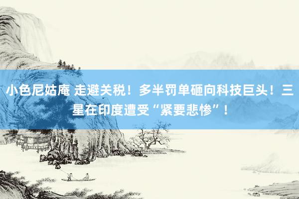 小色尼姑庵 走避关税！多半罚单砸向科技巨头！三星在印度遭受“紧要悲惨”！